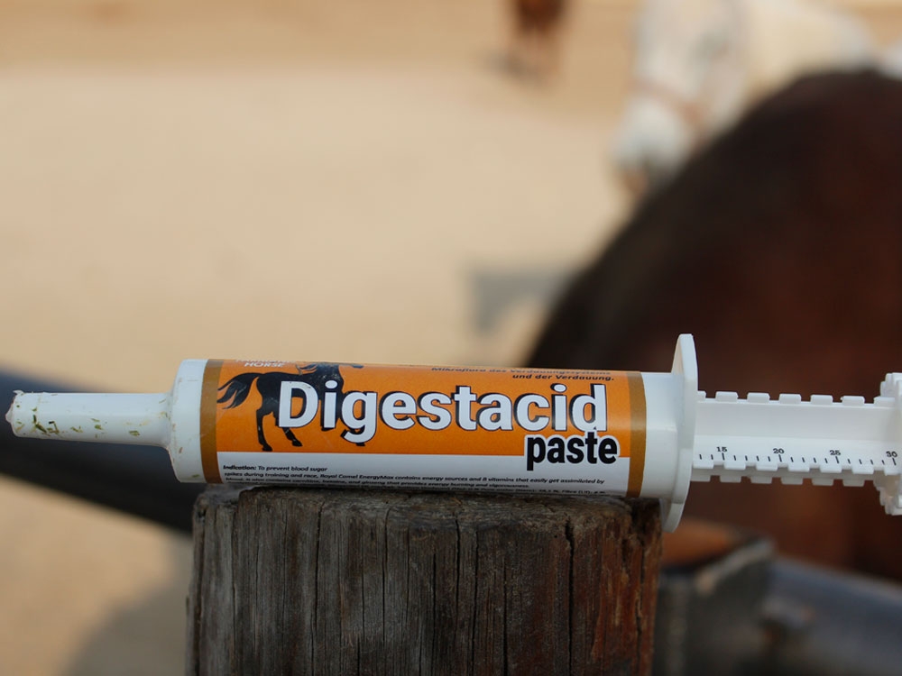 Horse Digestacid paste
