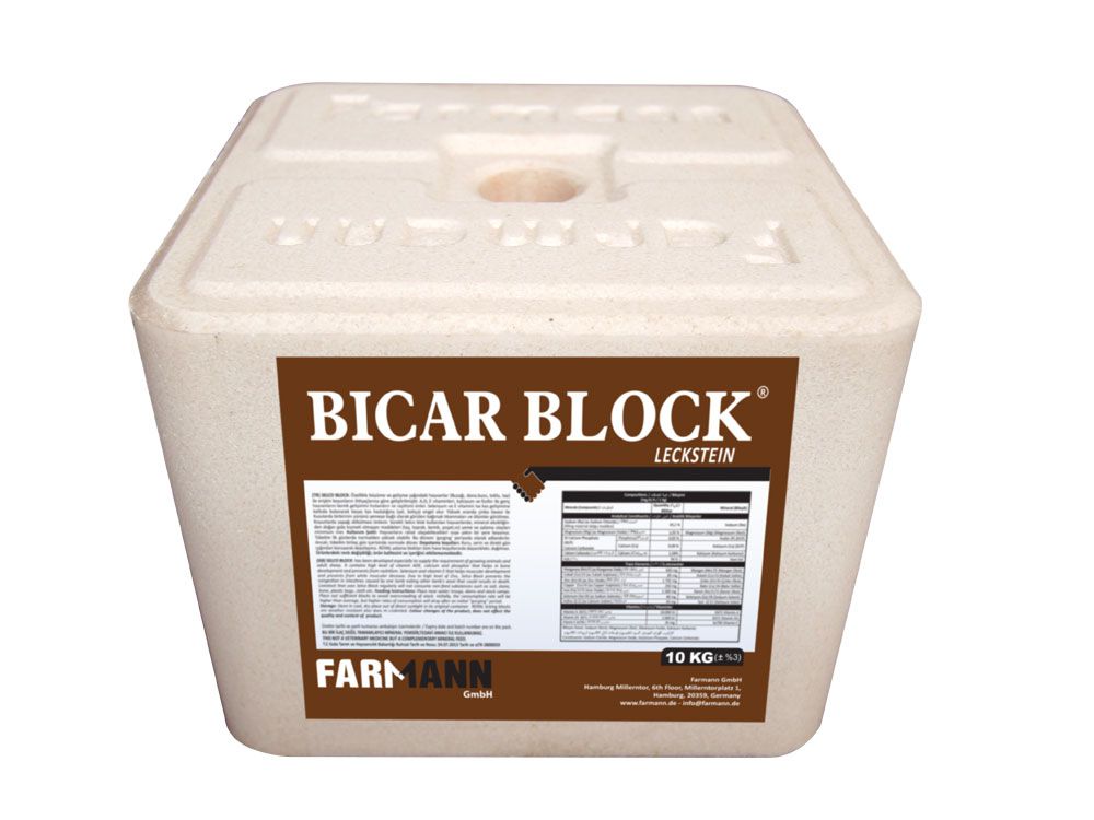 Bicar Block