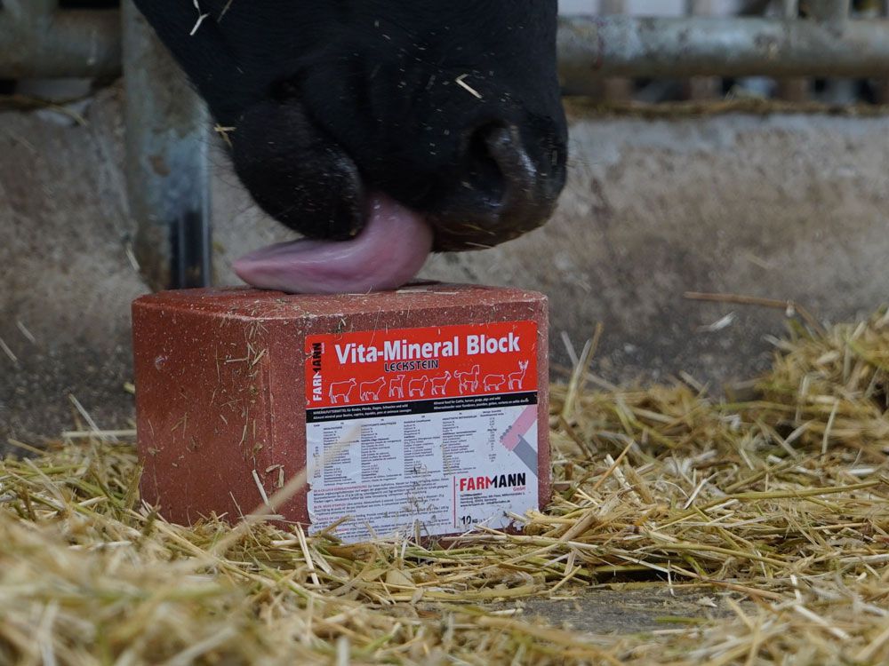 Vita-Mineral Block