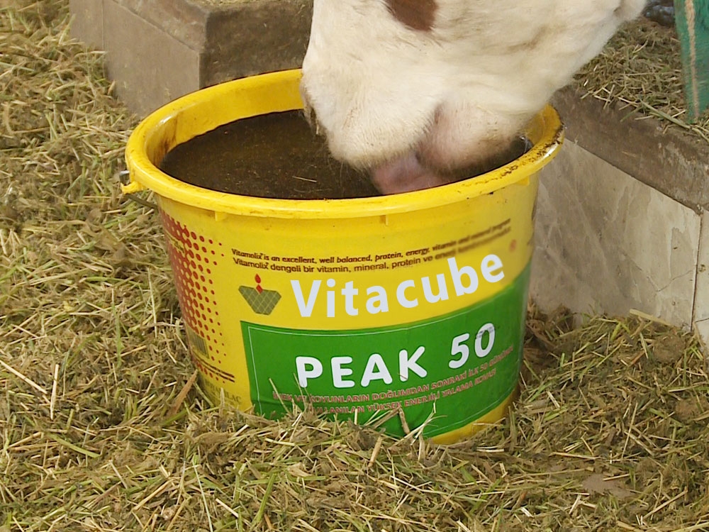 Vitacube Peak 50