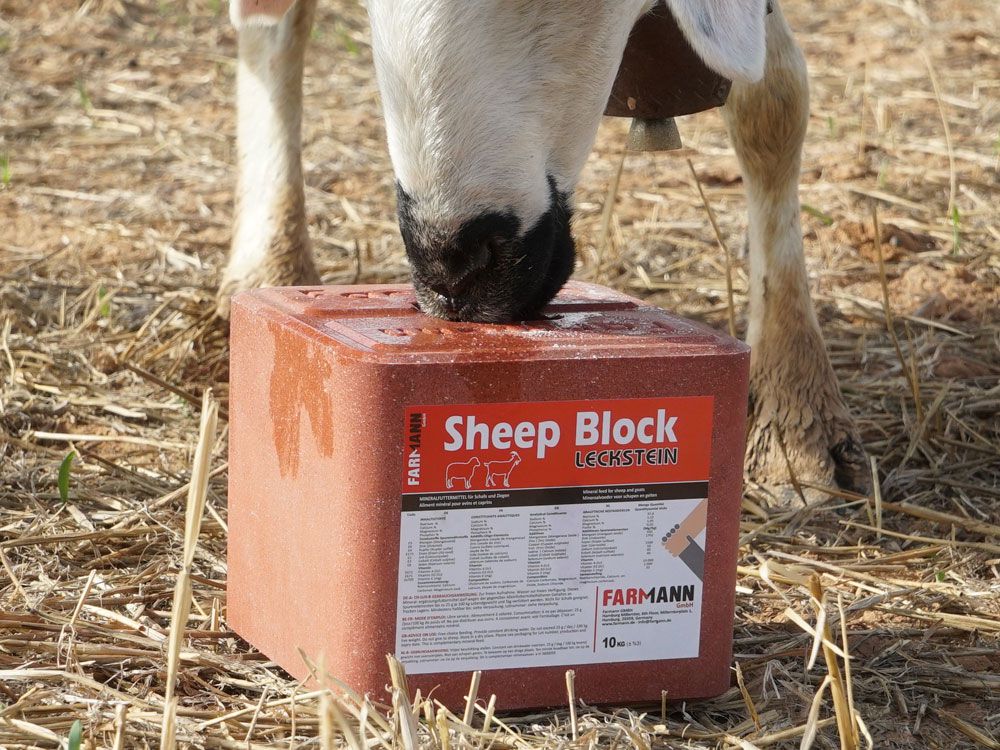 Sheep Block